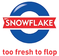 Snowflake Logo